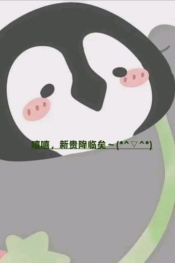 新人来啦！