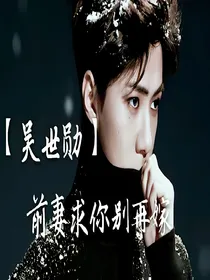 【吴世勋】前妻求你别改嫁