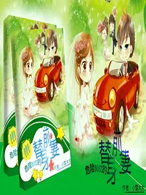 危险BOSS的替身前妻