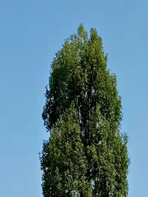 南有莫然，北负韶华。