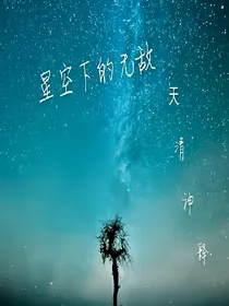 星空下的无敌
