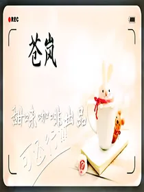 苍岚