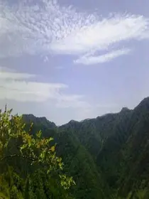 余散集