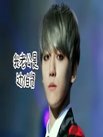 我老公是边伯贤