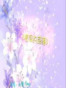 描写的段落