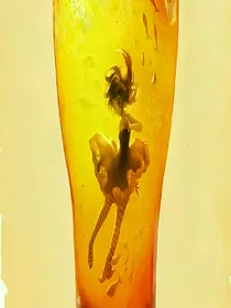 杨小歪的吃货之旅