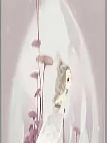 糖豆评论铺