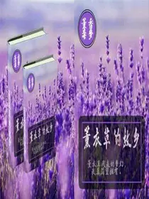 薰衣草的故乡（停业）