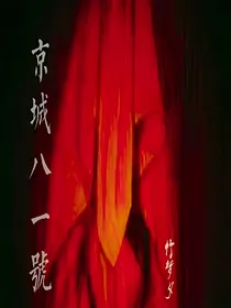京城八十一号之三生情