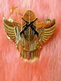 《兵王之王》