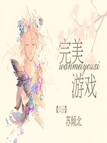 完美游戏