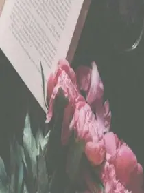 小情书