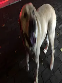 随笔散文