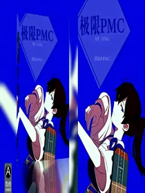 极限PMC