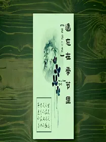 遗忘在季节里