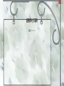 唐时录
