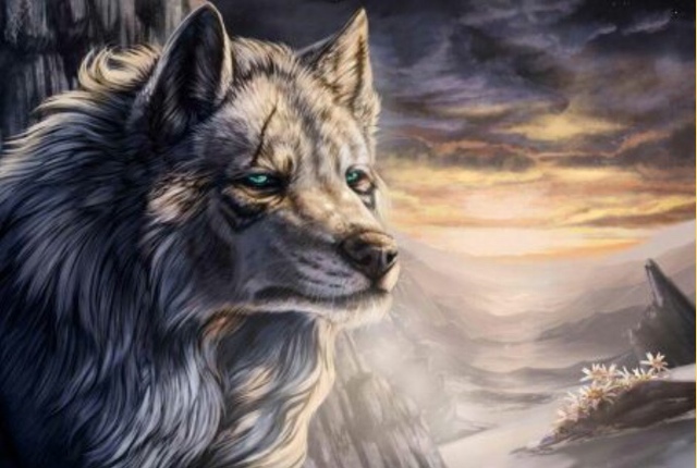 狼王梦黑桑家族重生