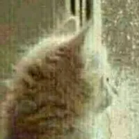 元嵩