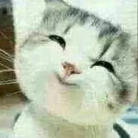 会有第二部