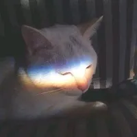 清风文社
