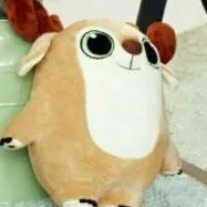 穿越星学院