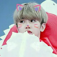 百分九少年团
