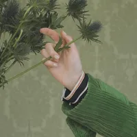 干净短句