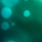重回过去