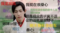 香蜜沉沉烬如霜同人文