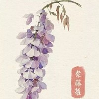 无暧昧