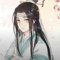 蓝忘机的情缘