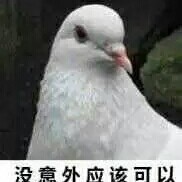 剧情炸裂