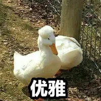 录寻
