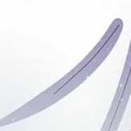 赘婿