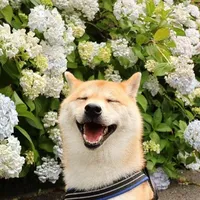 掉马甲