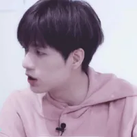 R1SE张颜齐