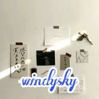 WindySky女团