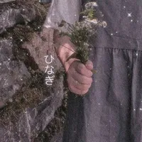锦瑟家族