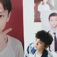 TF家族左航