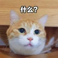 官方认证绝对好看