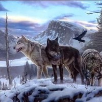 不能盗文不能转载