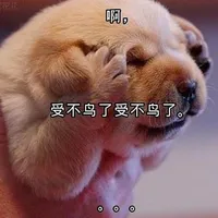 我要更新