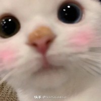 不开心可以找作者