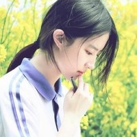 刘亦菲饰演女主