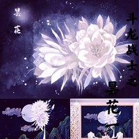 昙花一现彼岸花开