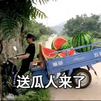 全明星小说