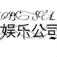 BSL虚拟娱乐公司