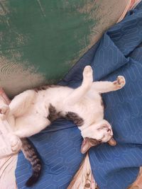 实在找不到封面了