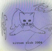 Kitten24