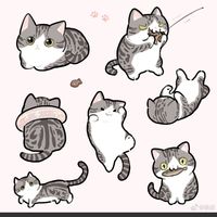 猫猫摆烂人生